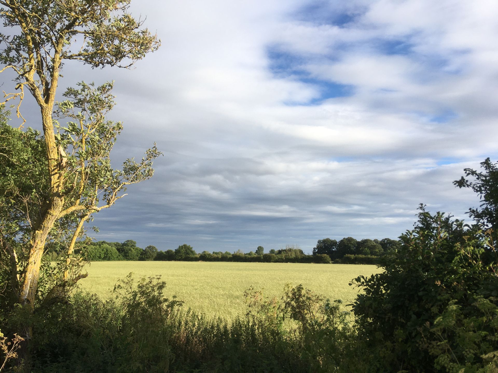 A view over the local countryside